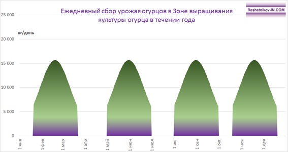 Распределение урожая огурца во второй Зоне выращивания огурца за год 