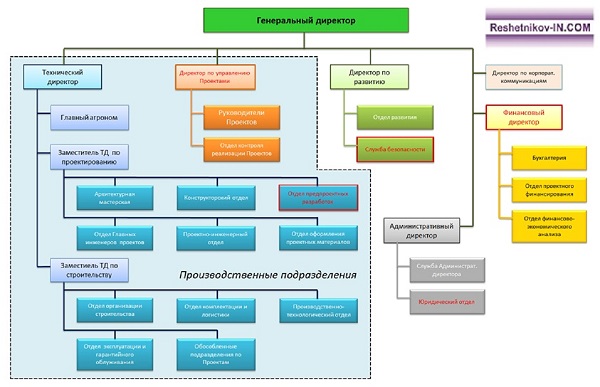 Функциональный анализ Проектной организации. Структура Компании